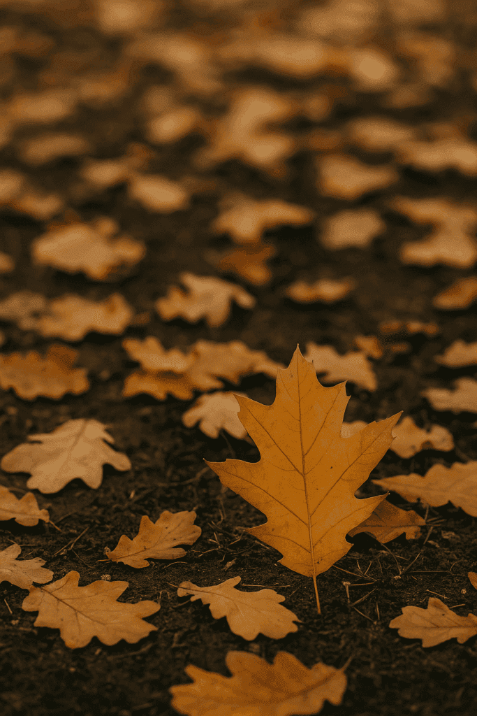 Herbstliches Waldboden-Motiv mit goldbraunen Eichenblättern – stimmungsvolles Symbolbild für Selbstreflexion, innere Stärke und Female Empowerment im November.